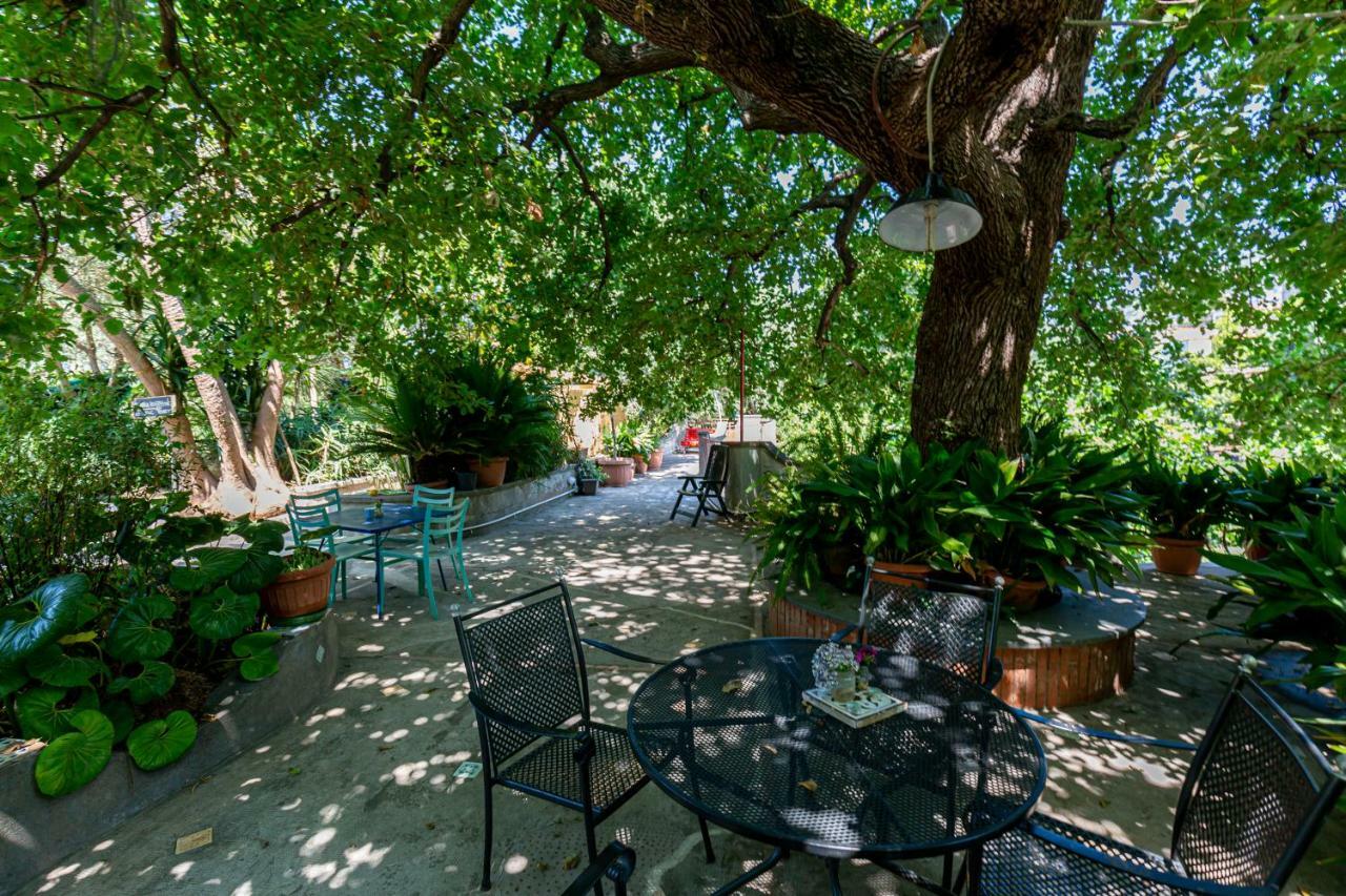 Villa La Quercia Meta Exteriér fotografie